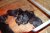 Offspring M